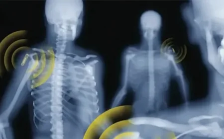 Identyfikacja radiowa pozwala kontrolować towary, usługi, zwierzęta, a nawet ludzi.