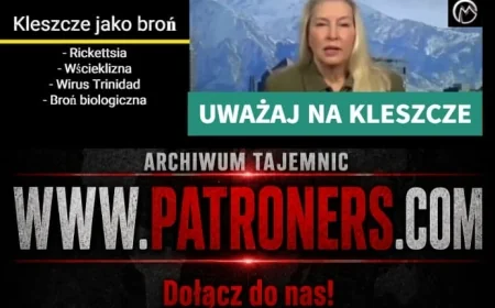 Kleszcze afrykańskie. Czy naprawdę są już w Polsce?