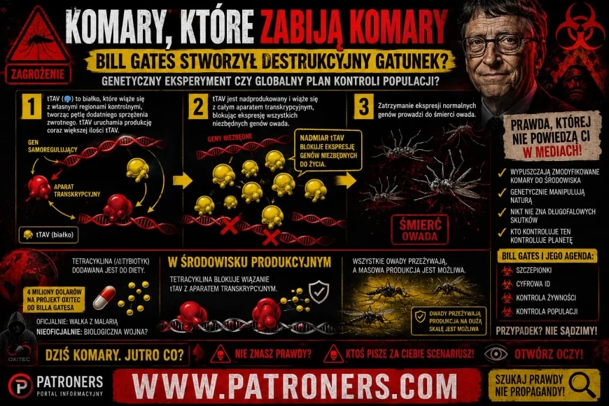 Genetyczne komary Billa Gatesa. Eksperyment ratunku czy początek biologicznej ingerencji w naturę?